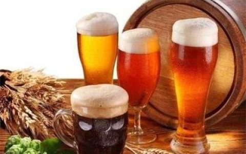 啤酒中国品牌排行榜(唯吉熊啤酒是中国品牌吗)