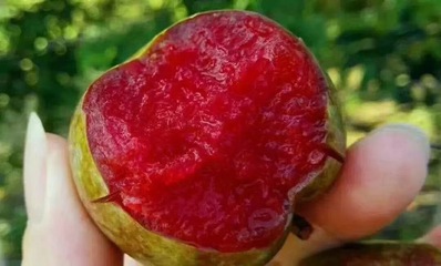 世界十大水果排行榜图片(十大上火水果排行榜图片)插图
