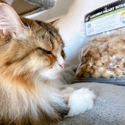 国内十大品牌猫粮排行榜(国内十大板材品牌排行榜)插图1