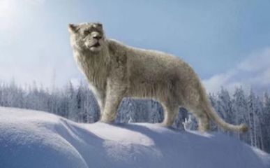 冰河时期十大猛兽排行榜(冰河时期猛兽排名榜)插图
