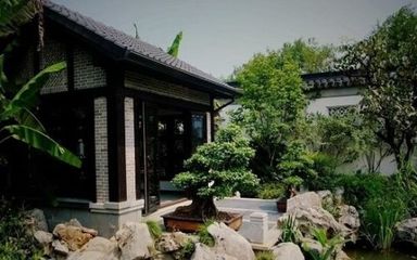 中国明星排行榜2021(中国明星排行榜100名)插图3