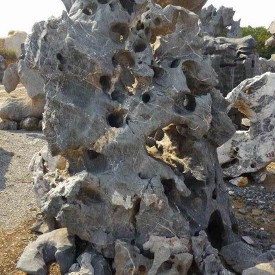 中国十大银杏树排行榜(中国十大石英石品牌排行榜)插图2