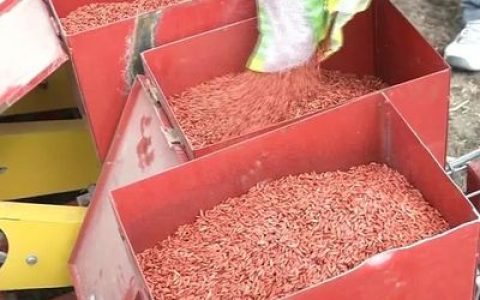 中国牛神排行榜(中国牛饲料前十名排行榜)