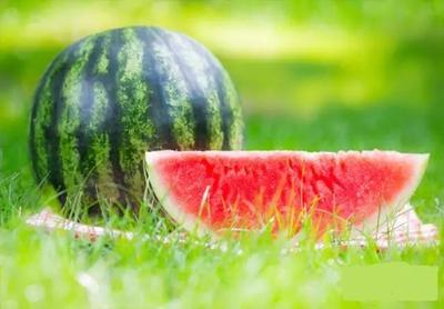 中国十大玉品种排行榜最新(2022西瓜品种十大排行榜)插图