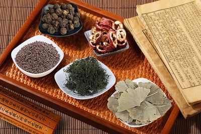 全国十大免费软件排行榜(十大中医软件排行榜)插图1