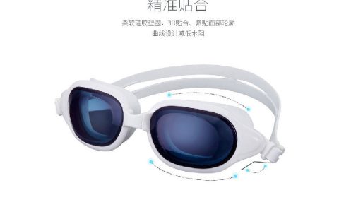 男士墨镜的十大品牌排行榜(十大墨镜太阳镜品牌排行榜)