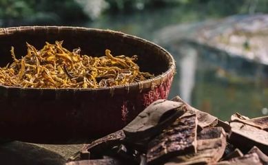 十大泡酒药材排行榜图片(泡酒十大药材排名)插图1