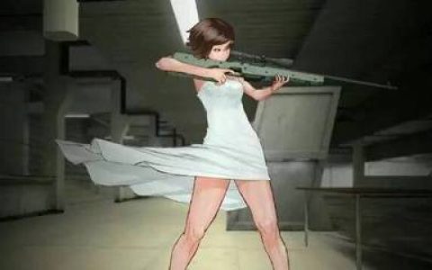 全国十大美女的排行榜(海贼王十大美女排行榜)