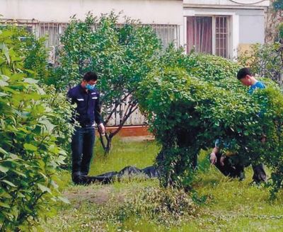 中国十大新农村排行榜(中国十大凶杀案排行榜)插图