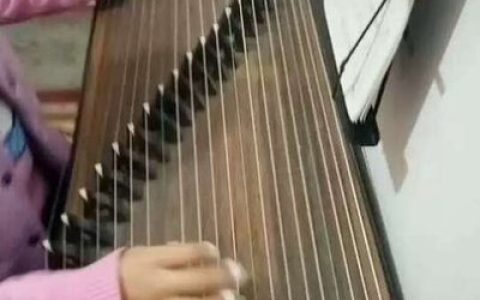 十大古筝品牌名曲排行榜(十大古筝品牌排行榜及价格)