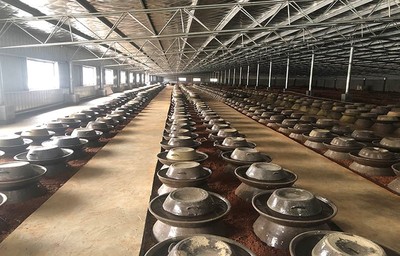 中国酒厂产量排行榜(泸州市前十名酒厂排行榜)插图