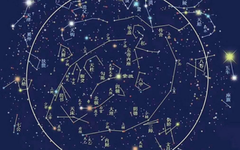 中国占星游戏排行榜(星座占星师排行榜)