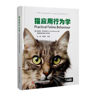 十大聪明宠物猫排行榜(十大聪明的狗狗排行榜)插图