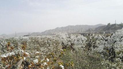 兰州十大好玩景点排行榜(兰州附近有什么好玩的景点)插图