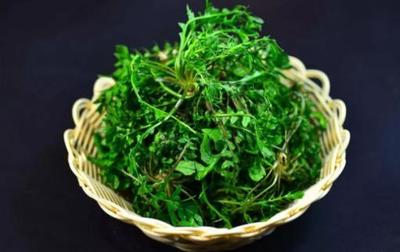 十大营养野菜品牌排行榜(十大防癌野菜排行榜)插图