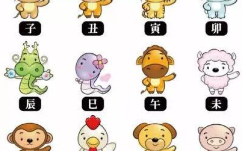 十大最强生肖排行榜表(生肖配对排行榜表)