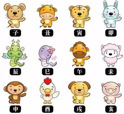 十大最强生肖排行榜表(生肖配对排行榜表)插图