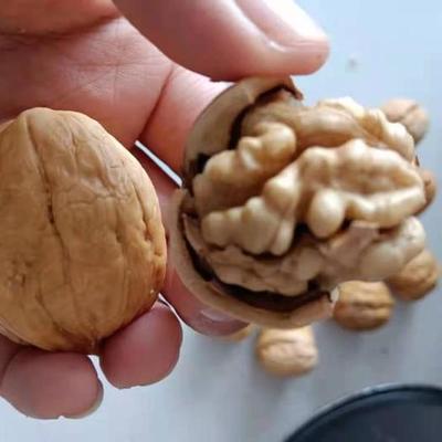十大核桃仁品牌排行榜(小核桃仁品牌十大排行榜)插图