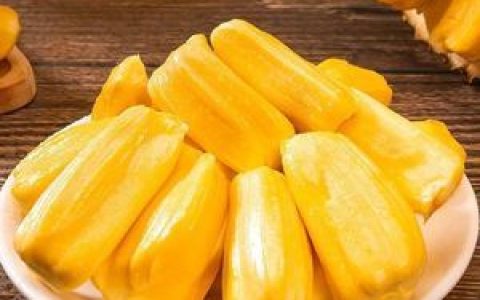 十大菠萝蜜排行榜(菠萝蜜品种排行榜)