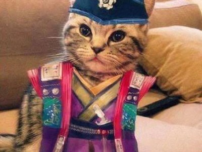 世界十大名服装排行榜(世界十大名猫排行榜)插图1