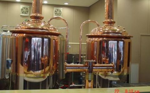 中国最好项目排行榜(中国最好的啤酒排行榜)
