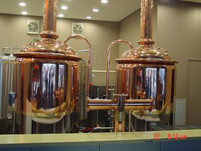 中国最好项目排行榜(中国最好的啤酒排行榜)插图