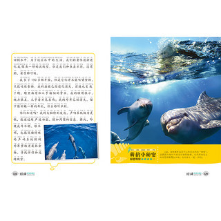 中国明星排行榜2021(中国明星排行榜100名)插图2