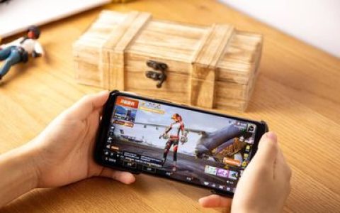 十大国产游戏手机排行榜(steam国产游戏销量排行榜)