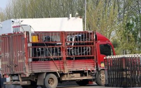 中国畜禽价格排行榜(中国车牌价格排行榜)