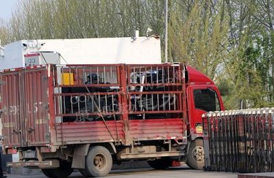 中国畜禽价格排行榜(中国车牌价格排行榜)插图