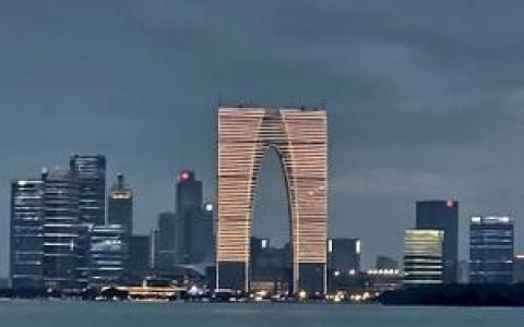 深圳前十大企业排行榜图片(深圳十大黑中介排行榜)
