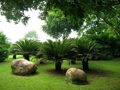 台湾十大植物园排行榜(中国十大植物园排行榜)插图