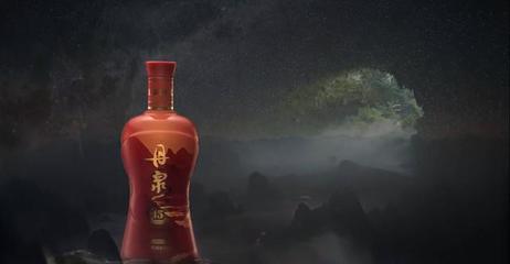 贵州十大影视传媒公司排行榜(贵州十大名酒排行榜)插图2