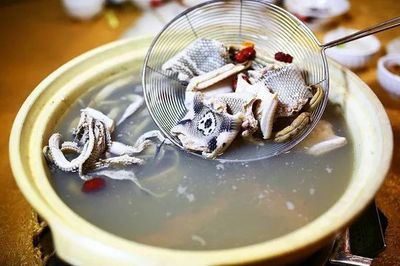 潮汕十大凶狗排行榜(广东潮汕十大凉茶排行榜)插图2