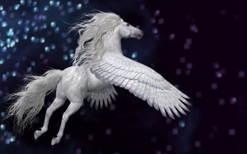 中国的ic排行榜(ic独角兽企业排行榜)