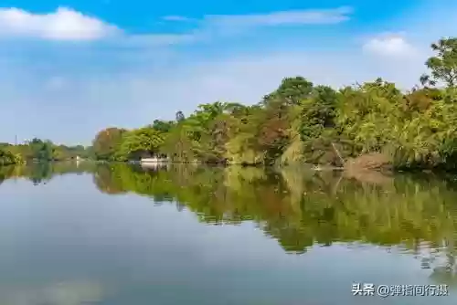 普宁十大新闻(普宁电视台新闻回放)插图51
