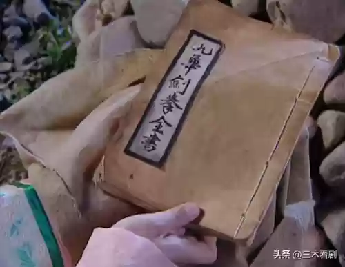 卧虎藏龙十大杀手是谁(卧虎藏龙女主角叫什么名字)插图35