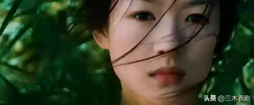 卧虎藏龙十大杀手是谁(卧虎藏龙女主角叫什么名字)插图