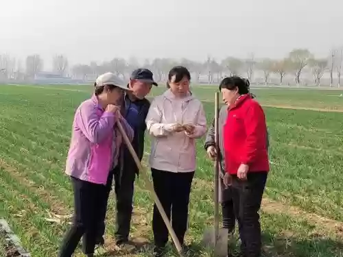 2021山东十大劳模(山东省历届劳动模范名单)插图2