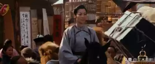 卧虎藏龙十大杀手是谁(卧虎藏龙女主角叫什么名字)插图21