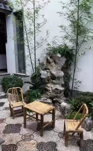 十大小型花草(十大室内大型植物排名)插图35
