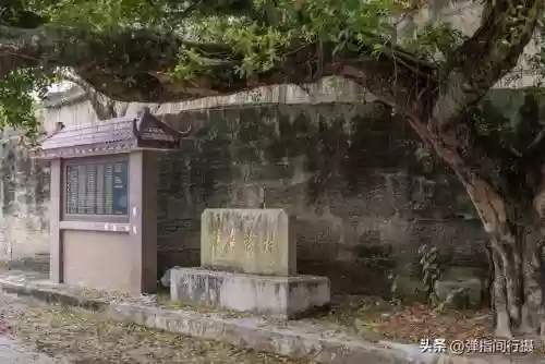 普宁十大新闻(普宁电视台新闻回放)插图20