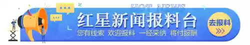 阆中十大黑社会排名(中国黑社会人物)插图2