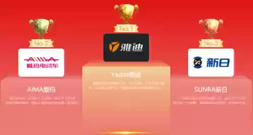 2013电动车十大品牌(中国十大电动车排名)插图10