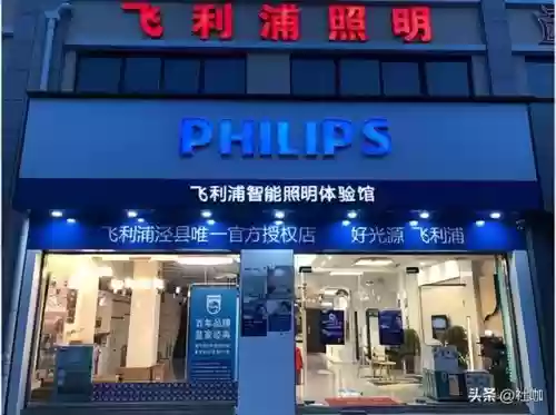 世界十大品牌灯具(十大灯具排名)插图5