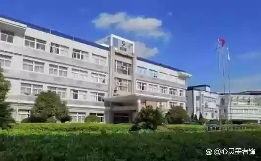 世界十大医疗龙头(医疗服务板块的龙头)插图9