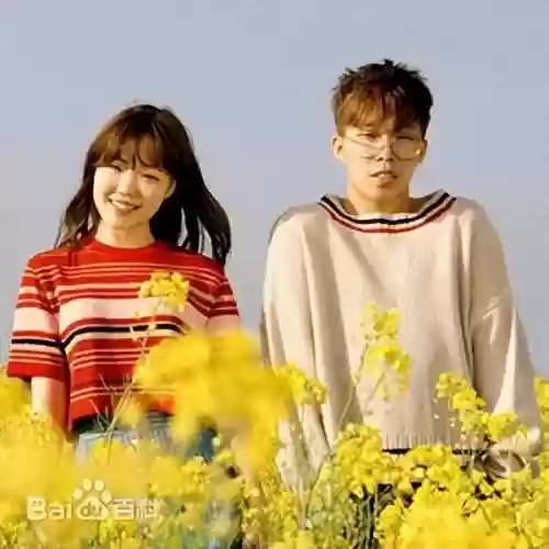 2016年十大歌曲(今年流行的歌曲前十名)插图4