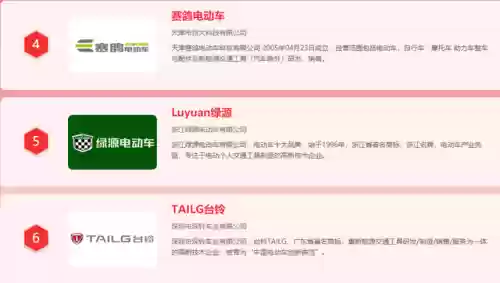 2013电动车十大品牌(中国十大电动车排名)插图6