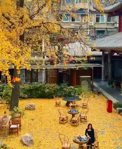 十大小型花草(十大室内大型植物排名)插图32