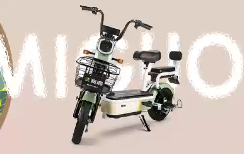 2013电动车十大品牌(中国十大电动车排名)插图7